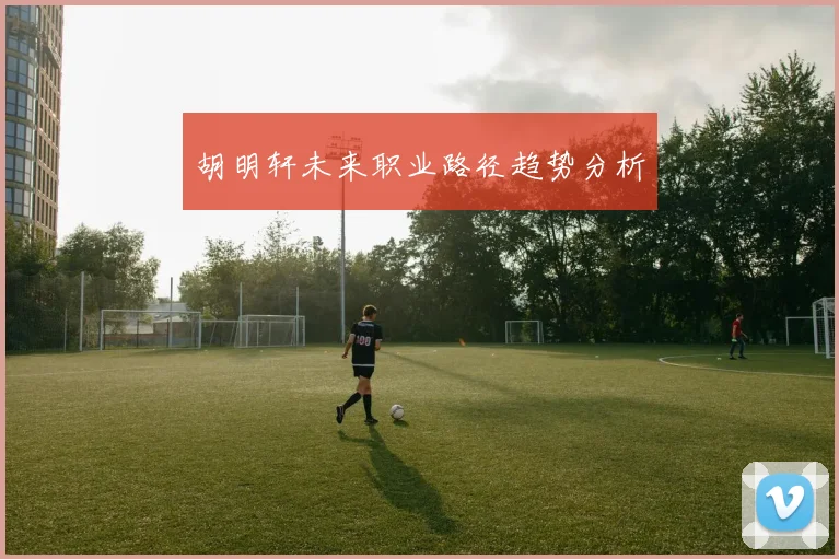 胡明轩未来职业路径趋势分析