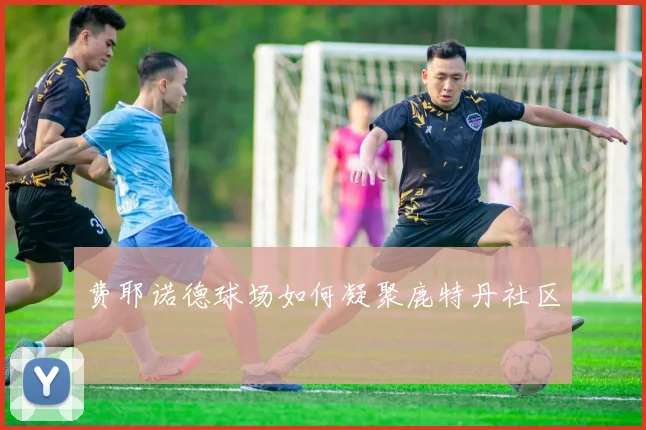 费耶诺德球场如何凝聚鹿特丹社区
