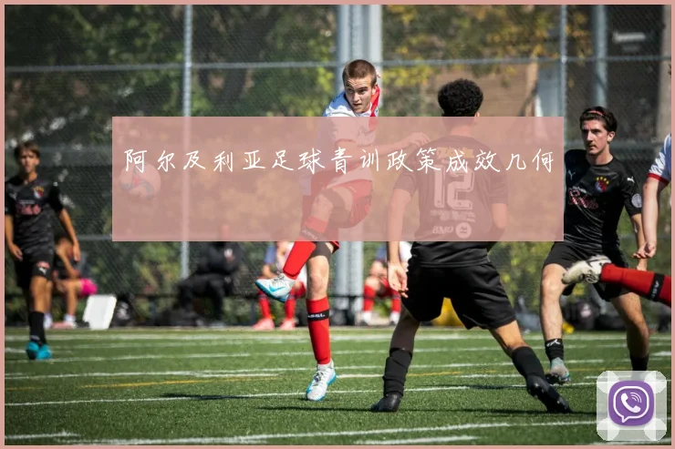 阿尔及利亚足球青训政策成效几何